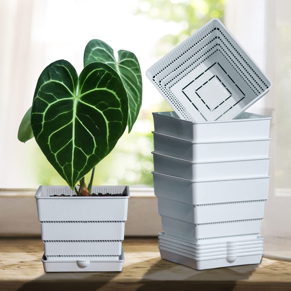 6 Inch Square Plastic Plant Pots with Drainage Trays - Set of 6 Indoor Succulent Planters for Snake Plants, African Violets, Herbs & Houseplants | Perfect for Windowsills, Office Desks, Home Decor & Garden Planting