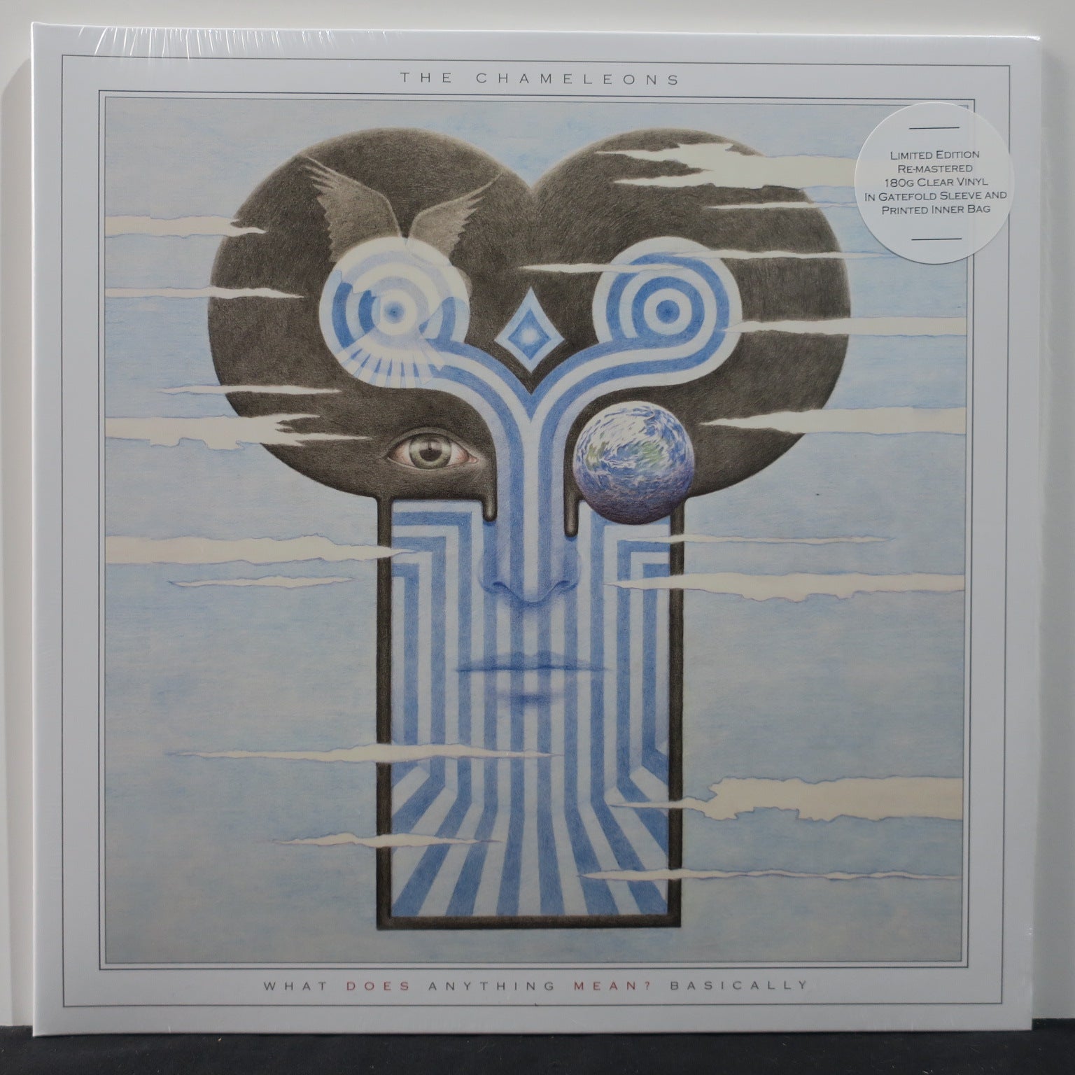 Chameleons 'What Does Anything Mean?' Clear Vinyl LP Record – Limited Edition Alternative Rock Music for Collectors & Audiophiles – Perfect for Home Listening & Vinyl Enthusiasts