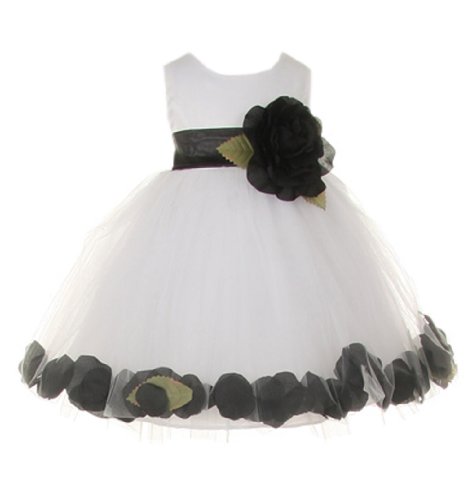 White With Black Sash, Flower & Petals