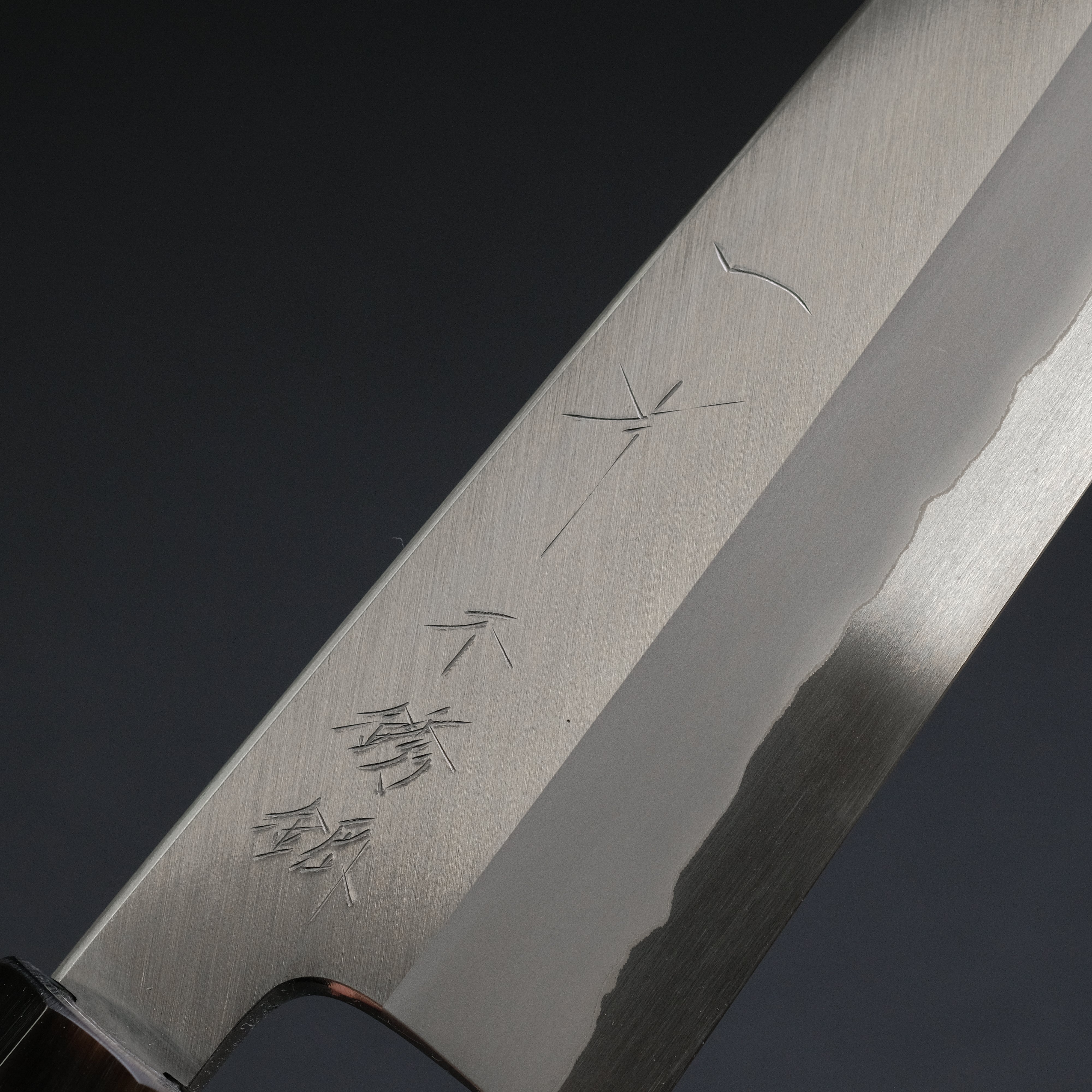 Hitohira Tanaka Kyuzo Blue #1 Stainless Clad Gyuto 210mm Japanese Chef Knife - Taihei Makassar Ebony Handle | Professional Kitchen Knife for Sushi, Meat Cutting & Food Preparation | Premium Discounted Chef's Knife