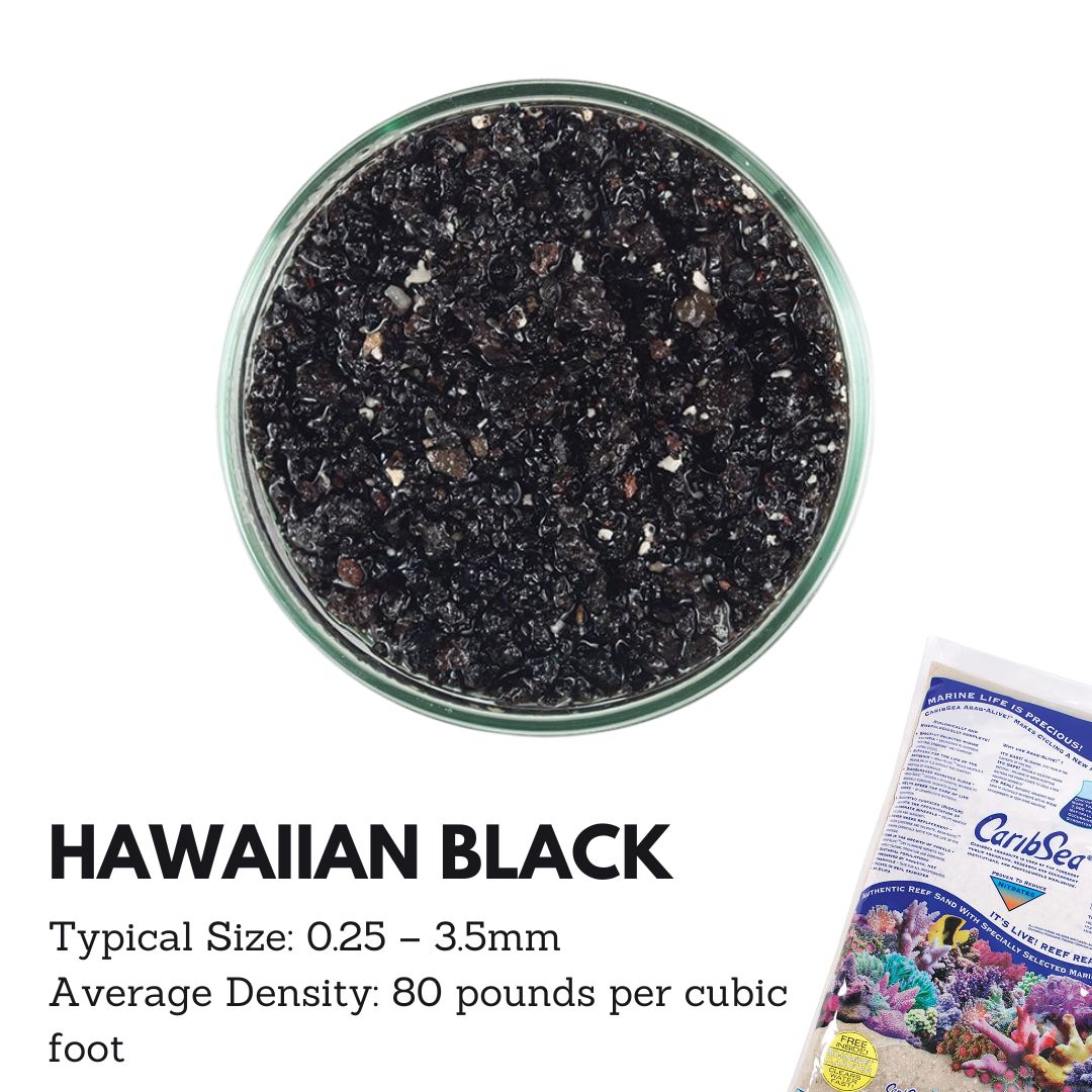 Caribsea Aragalive Hawaiian Black Sand for Aquariums - 10/20lbs | Natural Marine Substrate for Saltwater & Reef Tanks | Perfect for Coral Growth & Fish Habitat