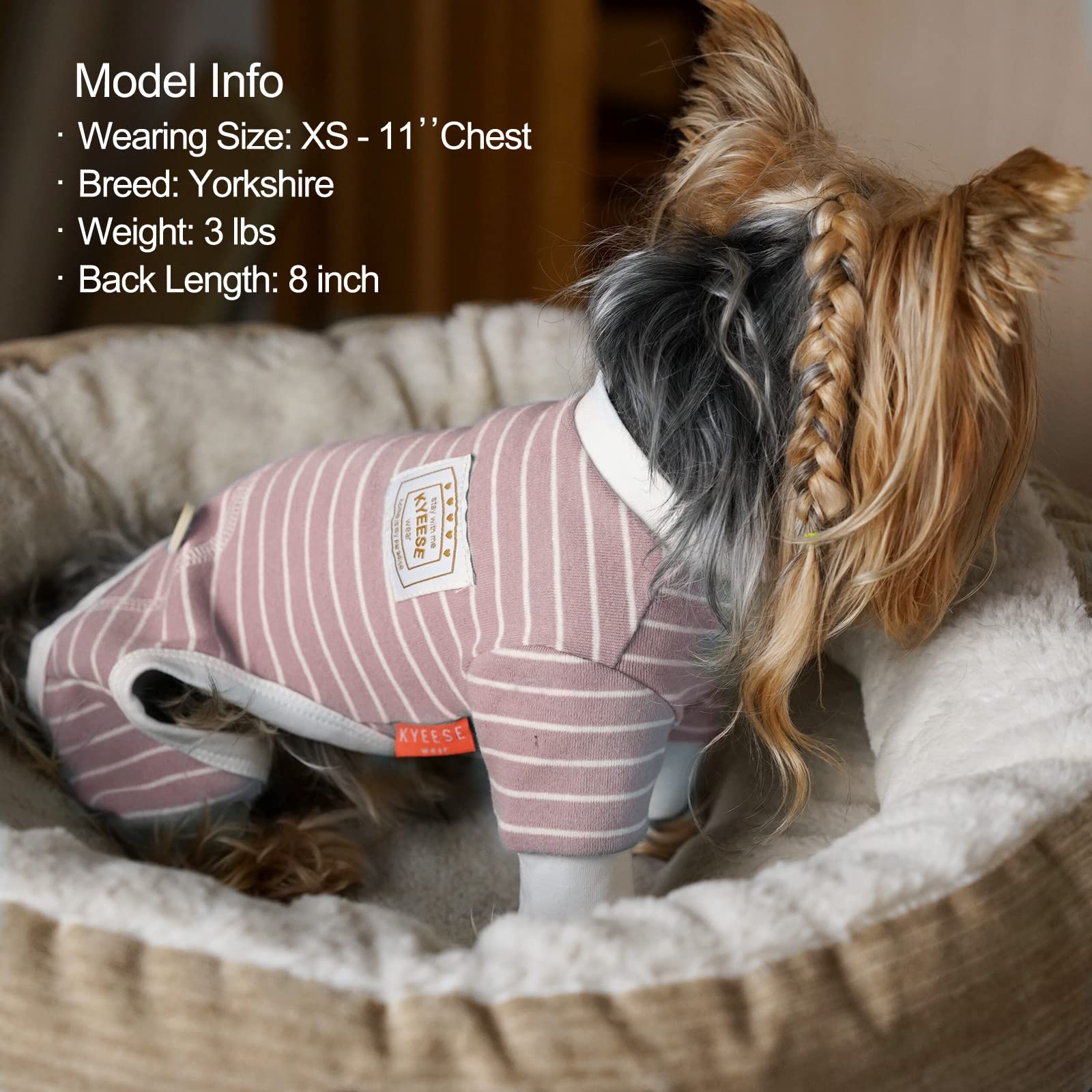KYEESE Stretchable Strip Dog Pajamas - 4 Legs Pet Puppy Jumpsuit Apparel for Small & Medium Dogs - Perfect for Indoor Wear, Lounging & Photo Shoots