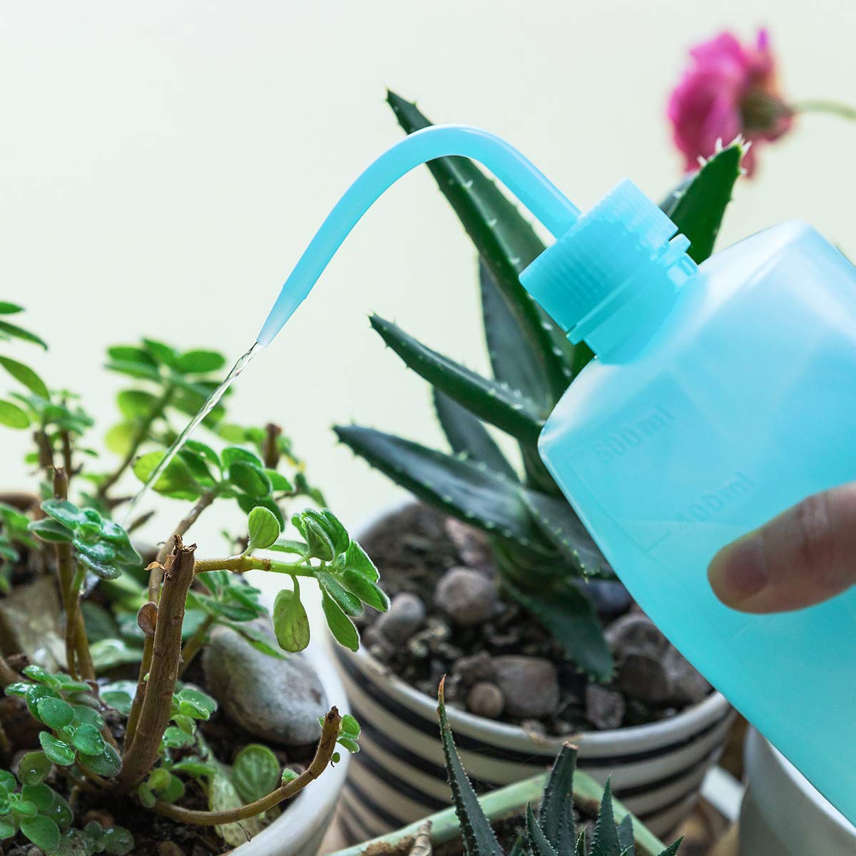 Oubest 500ml Squeeze Washing Bottle - 3 Pack Blue Plastic Plant Watering Bottle for Succulents, Irrigation & Cleaning | Perfect for Gardening, Home Plants & Car Washing