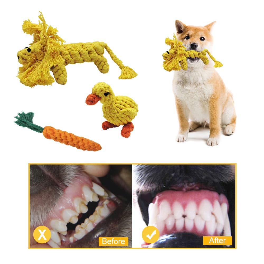 Andiker 3-Pack Durable Dog Chew Toys - Cotton Rope Puppy Teething, Teeth Cleaning & Training Toys for Small Medium Dogs (Lion, Carrot, Duck) - Interactive Plush Chew Toys for Boredom Relief & Playtime Fun