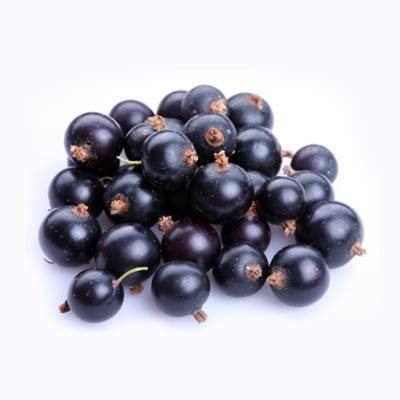 Organic Frozen Black Currants - Antioxidant-Rich Superfruit for Smoothies, Baking & Healthy Snacks | Northwest Wild Foods | 4.5lb Pack | Perfect for Jams, Pies, Yogurt Toppings & Immune Support