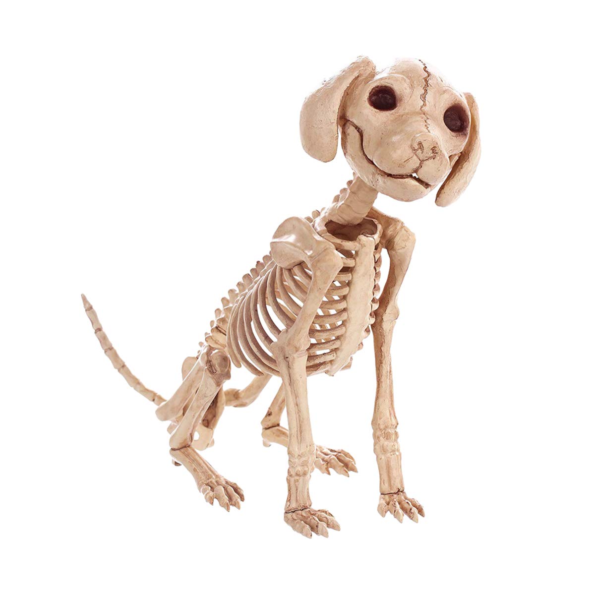 LKXHarleya Halloween Skeleton Puppy Decor - Mini Poodle Dog Skeleton with Bones for Halloween Party, Haunted House & Spooky Home Decorations - Perfect for Indoor/Outdoor Halloween Displays & Trick-or-Treat Decor