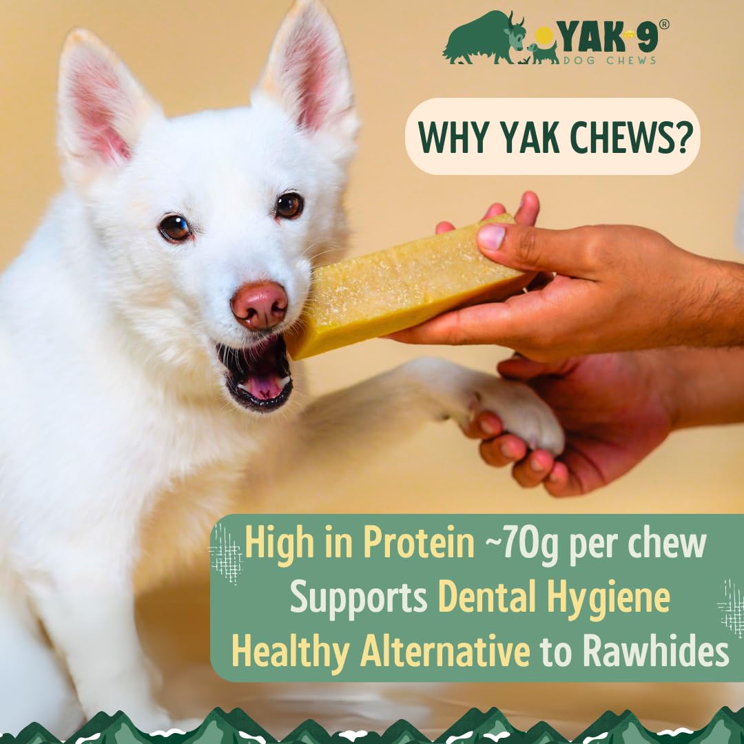 Yak9 Cheese Dog Chews - High Protein Natural Treats for Dogs, Rawhide-Free Long-Lasting Chew with Vitamins & Minerals, Small Size Yak & Cow Milk Blend (4-Piece, 1lb) - Perfect for Training, Teething Puppies & Dental Health