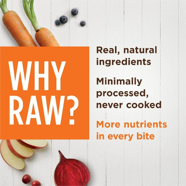 Instinct Raw Boost Shakers Beef Recipe Dog Food Topper - High Protein Grain-Free Kibble Mixer for Dogs - Perfect for Picky Eaters & Mealtime Enhancement
