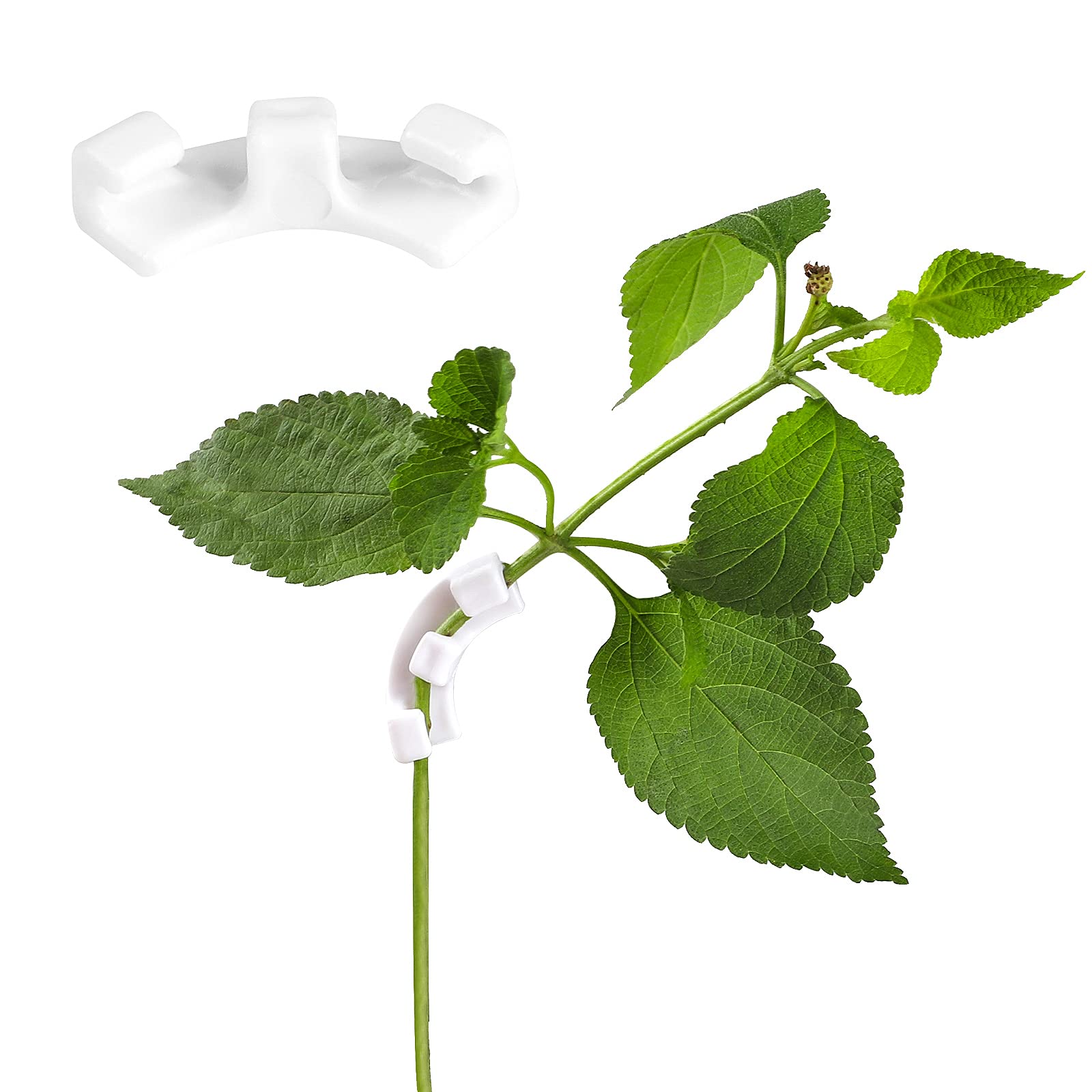 FIPERDIZ 30 Pack 90 Degree Plant Bender Clips - Reusable Low Stress Training (LST) Clips for Indoor/Outdoor Gardening - Perfect for Bonsai, Cannabis, Tomato Plants (White)