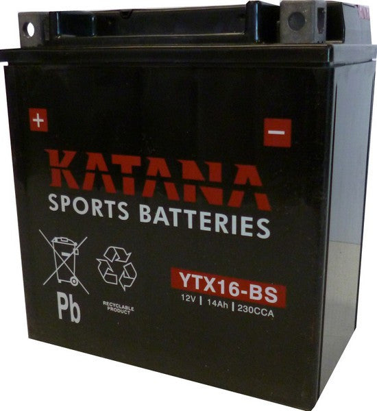 YTX16-BS 12V 14Ah Sealed Lead Acid Motorcycle Battery - Compatible with Honda, Yamaha, Suzuki, Kawasaki & More - Perfect for ATVs, Scooters, Jet Skis & Power Sports Vehicles