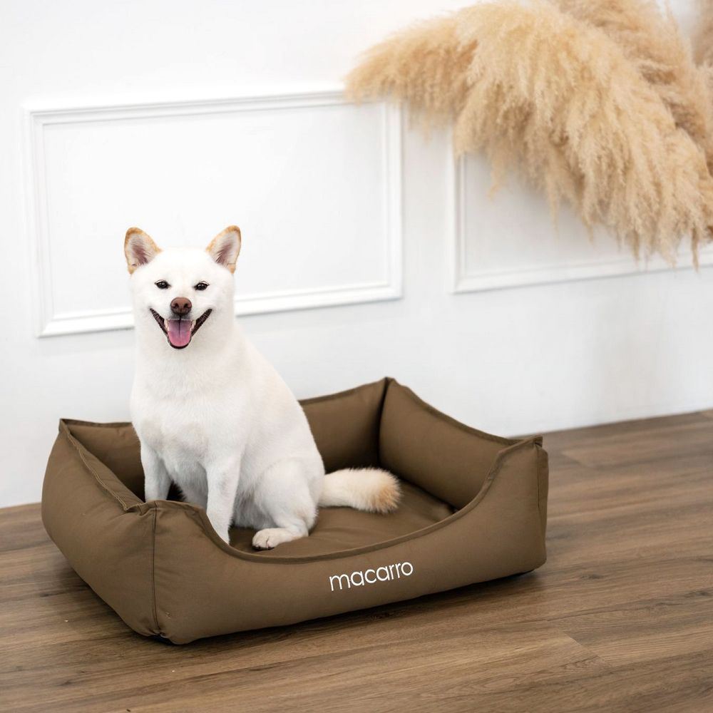 Premium Cotton Latex Pet Bed - Ultra Soft & Durable Dog Cat Bed for Small Medium Large Pets - Perfect for Indoor Use, Crate, Kennel, or Travel