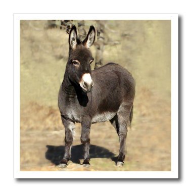 3Drose Miniature Donkey Iron-On Heat Transfer Paper - 8x8 Inch for DIY T-Shirts, Tote Bags & Fabric Crafts - Perfect for Custom Apparel & Personalized Gifts