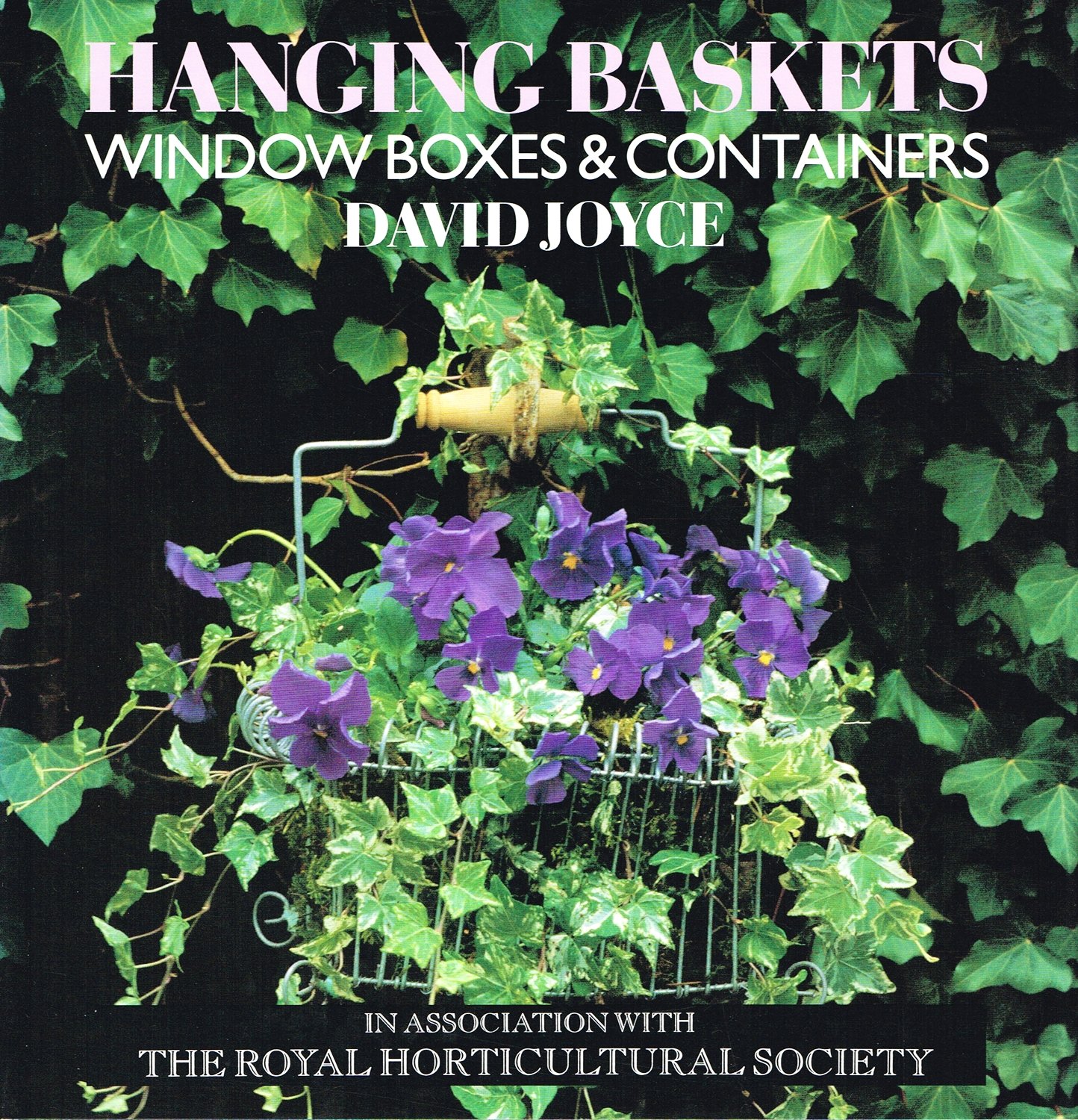 Best Hanging Baskets, Window Boxes & Plant Containers for Outdoor & Indoor Gardening - Perfect for Balcony, Patio, and Home Decor