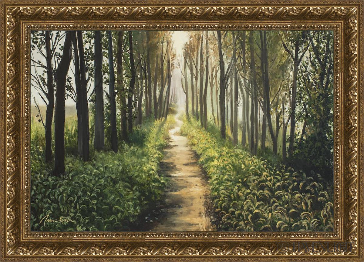 Forest Walkway - Beautiful Wooden Pathway for Gardens, Parks & Trails | Perfect for Outdoor Decor & Nature Walks