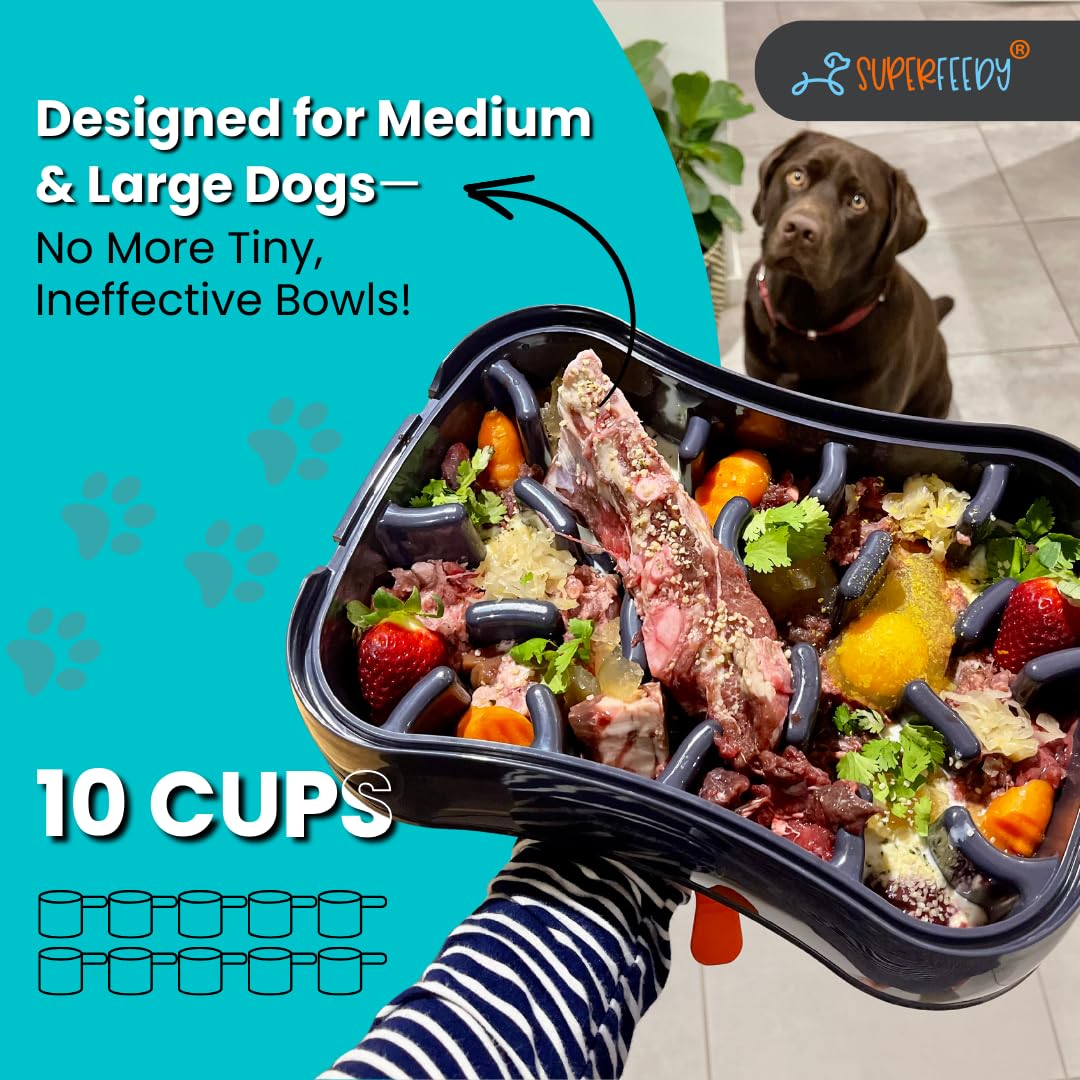 Slow Feeder Dog Bowls & Lick Mat - 4-in-1 BPA-Free Silicone Puzzle Feeder for Fast Eaters - Non-Slip Pet Food Bowl for Small, Medium & Large Dogs - Perfect for Mealtime Enrichment & Anxiety Relief