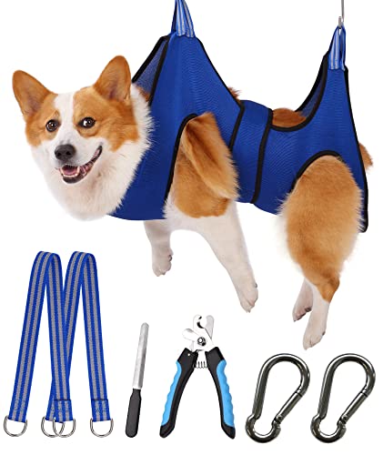 Max 50lb / Large Blue