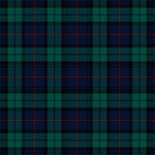 Atlanta Metropolitan Police Tartan Plaid Scarf - Premium Wool Blend for Men & Women - Perfect for Winter Fashion, Office Wear & Police-Themed Events