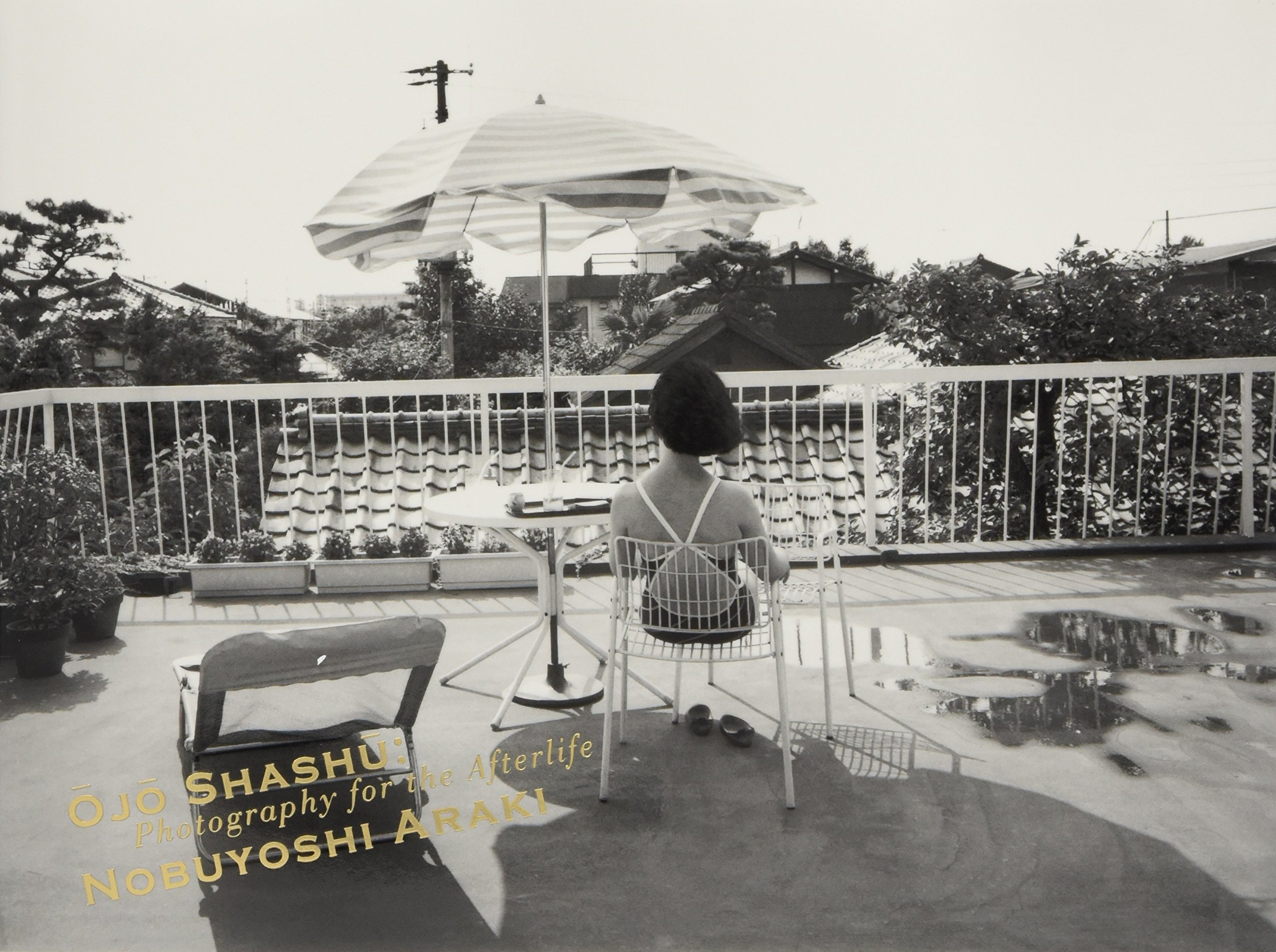 Nobuyoshi Araki - Photography For The Afterlife Book | Japanese Contemporary Art Photography Collection | Perfect for Art Lovers & Photography Enthusiasts