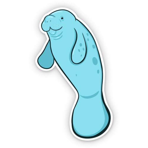 12\