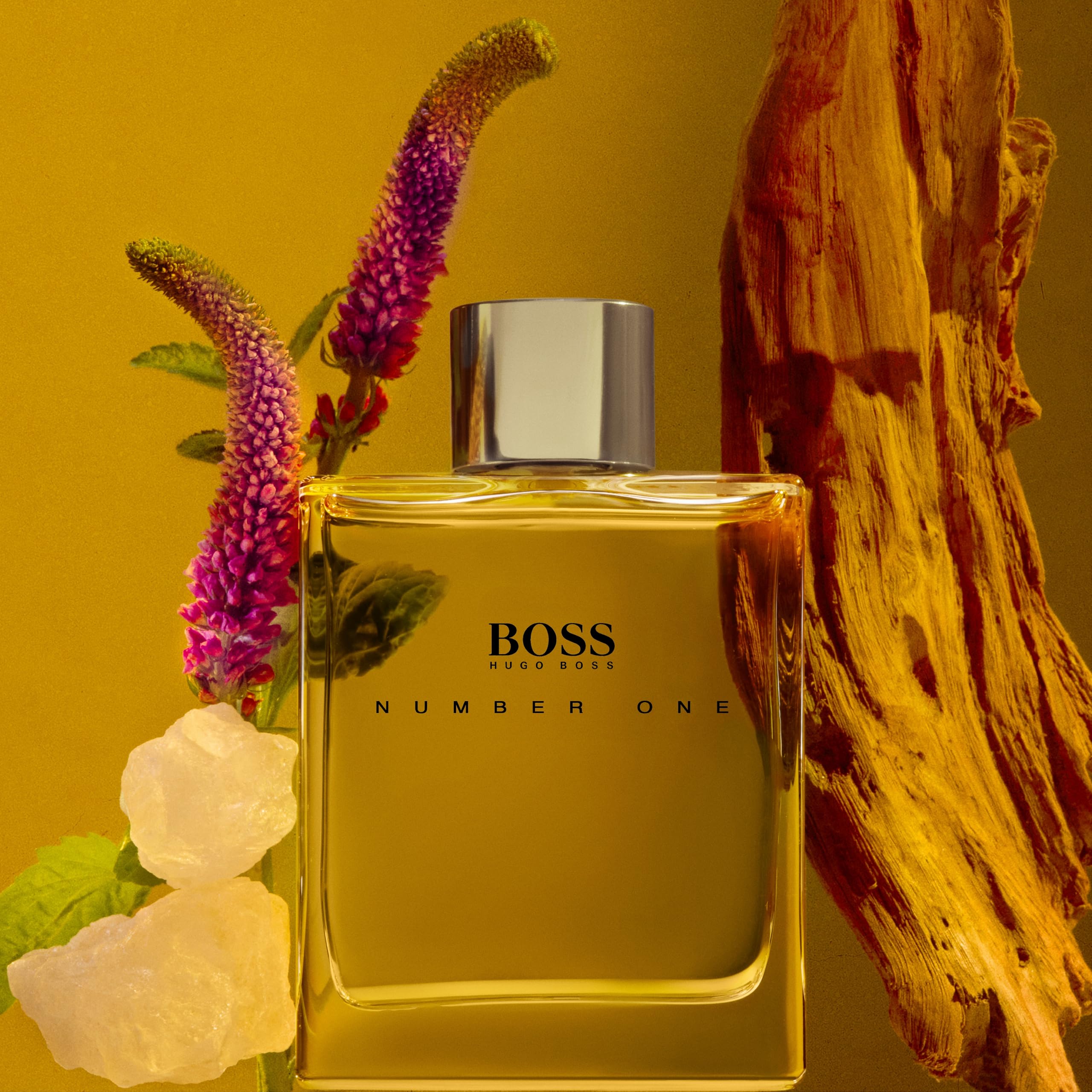 Hugo Boss Selection Fougère Cologne for Men – Long Lasting Fragrance Spray – Fresh & Masculine Scent – Perfect for Daily Wear, Office & Special Occasions