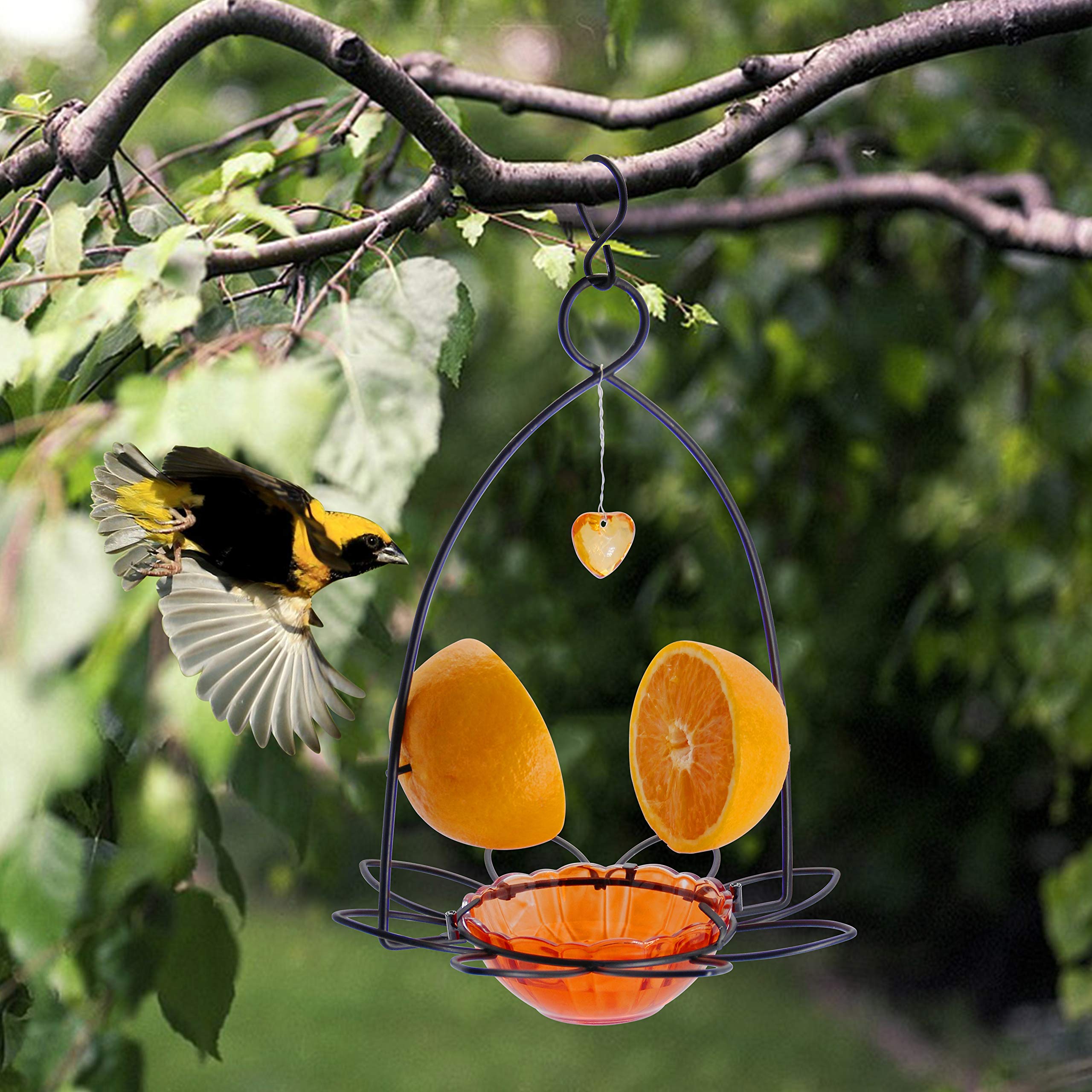 FORUP Oriole Bird Feeder with Orange Fruit Design - Attract Orioles to Your Garden | Perfect for Backyards, Patios & Outdoor Bird Watching