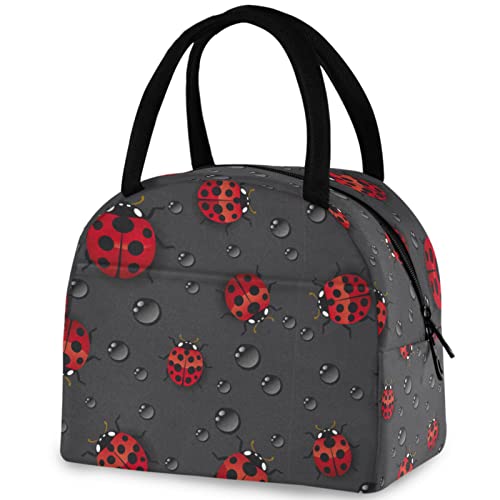 Ladybugs