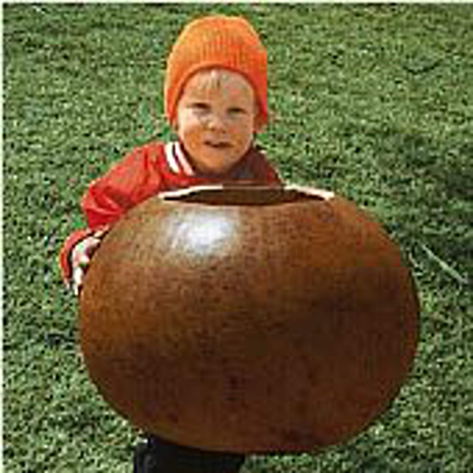 Organic Non-GMO Heirloom Bushel Gourds Seeds (25+ Seeds) - Perfect for Vegetable Gardens, Fall Decorations & DIY Crafts | Seed King Express