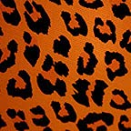 Skin Leopard