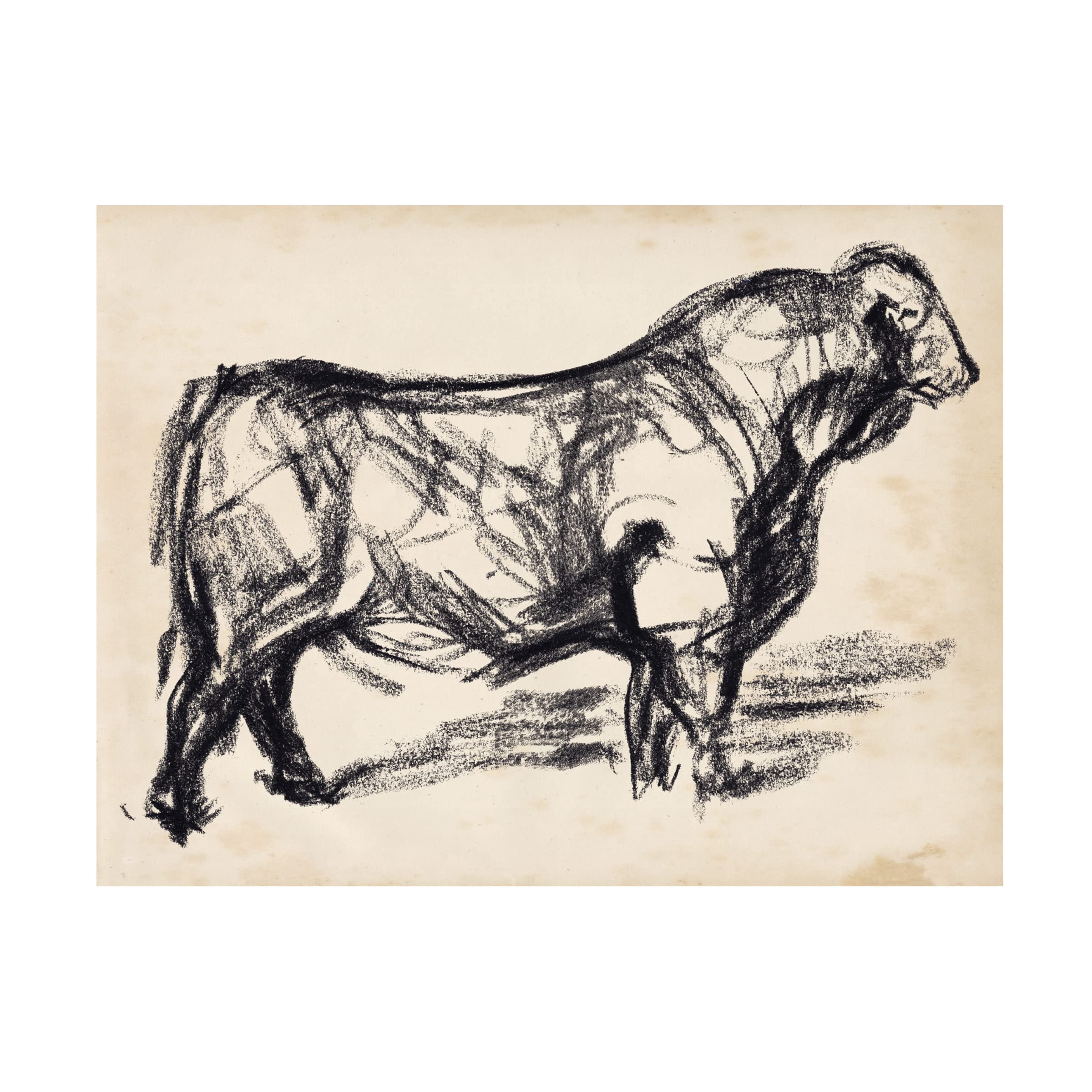 Trademark Fine Art 'Black Angus I' Canvas Art by Jennifer Paxton Parker - Modern Farmhouse Wall Decor for Living Room, Bedroom & Office