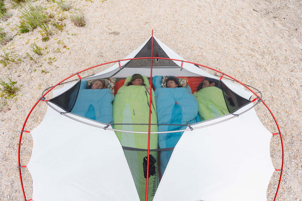 MSR Elixir 4-Person Backpacking Tent - Lightweight 4-Season Camping Tent for Hiking, Mountaineering & Outdoor Adventures