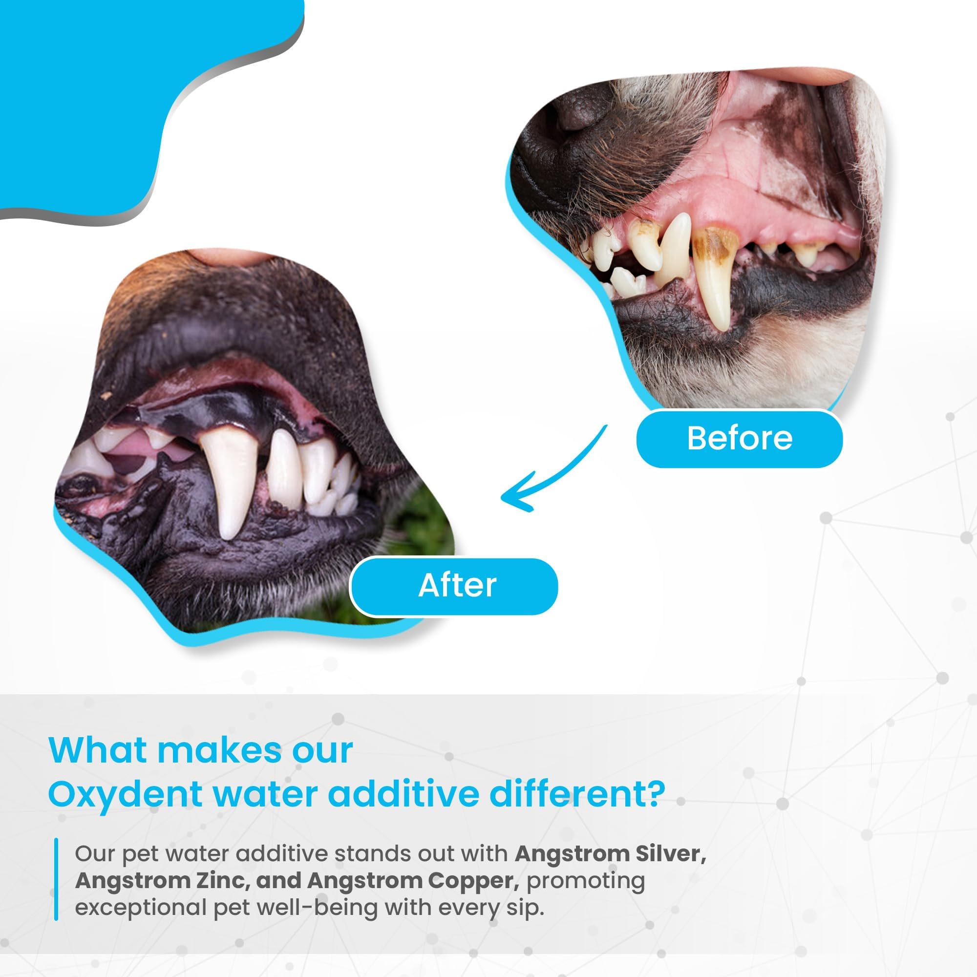 Oxydent Premium Pet Dental Care Solution - Water Additive & Mouthwash for Dogs & Cats - Eliminates Bad Breath, Fights Tartar & Plaque - Fresh Breath Oral Rinse for Pets - Perfect for Daily Dental Hygiene & Vet-Recommended Care