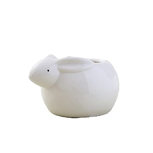 C Rabbit