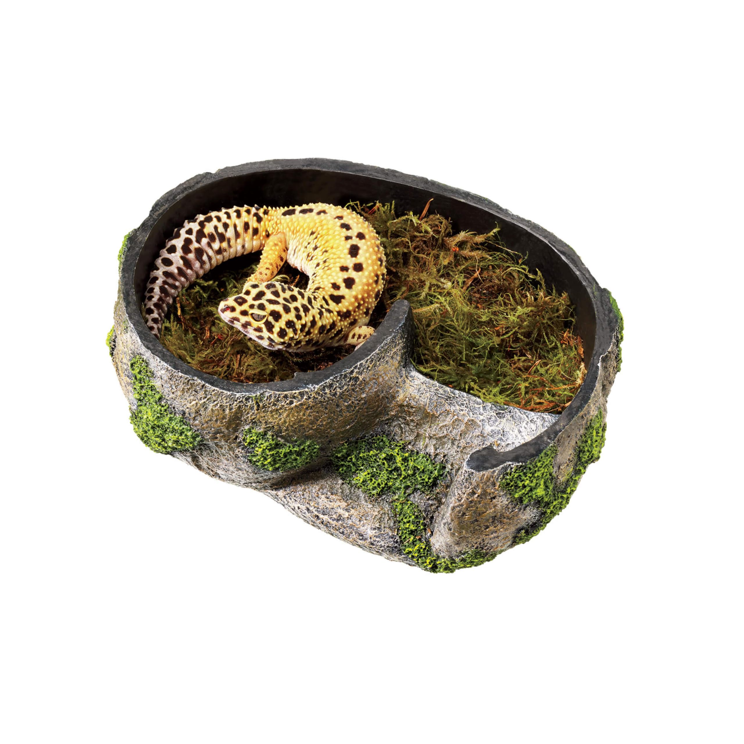 Zilla Medium Pet Terrarium Rock Lair - Natural Hideout for Reptiles & Amphibians - Perfect for Bearded Dragons, Geckos & Small Pets - Ideal for Desert & Tropical Terrarium Setups
