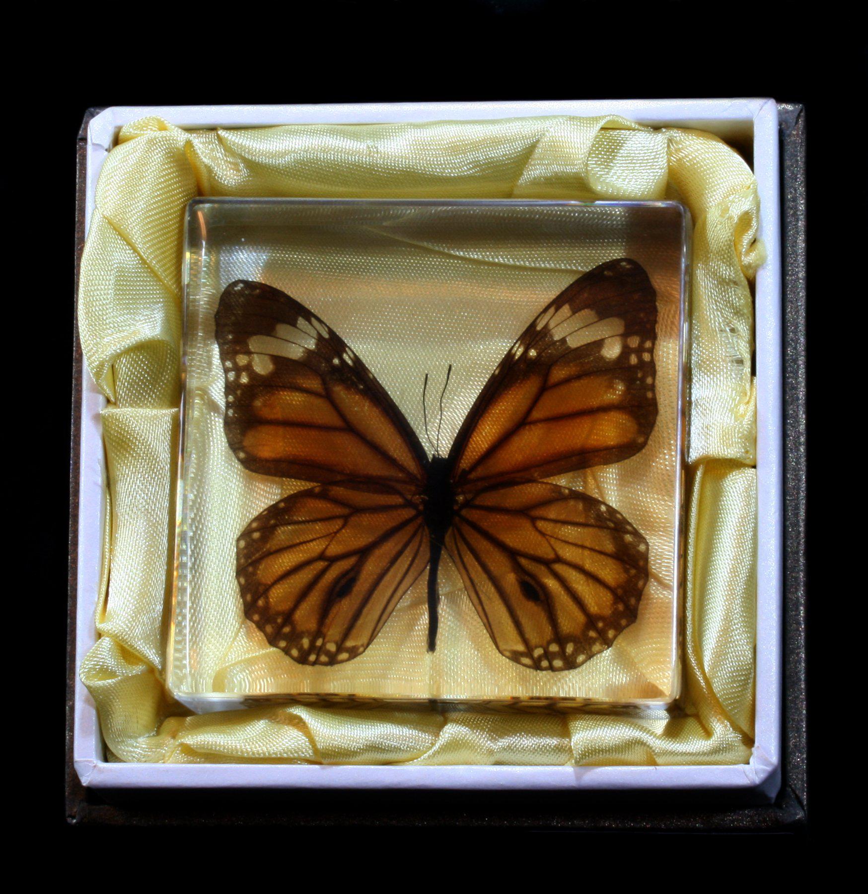 Tiger Butterfly Acrylic Paperweight - Elegant Glass Paper Holder for Office & Home Decor - Perfect for Desk Organization, Gift Giving, and Feng Shui Decorations