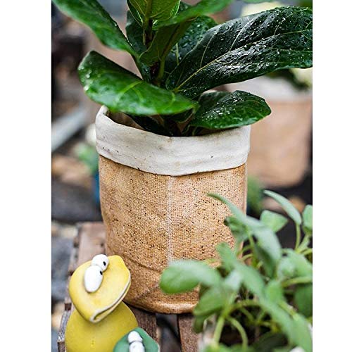 Rustic Reach Paper Bag Style Concrete Garden Pot - Decorative Planters for Indoor & Outdoor Plants, Succulents, Flowers - Perfect for Patio, Balcony, and Home Decor