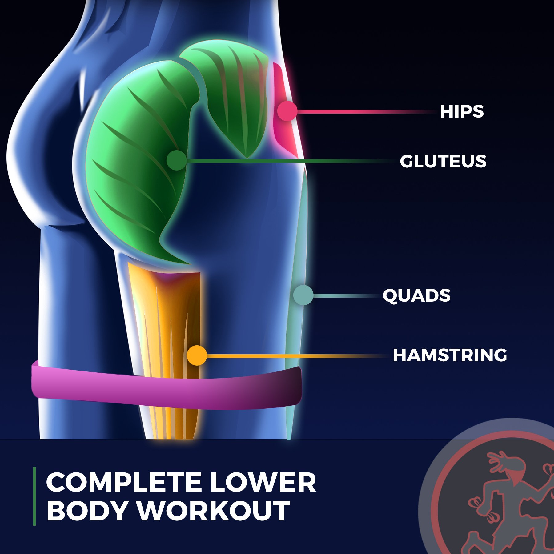 Rubberbanditz Extra Thick Booty Bands - Heavy Duty Resistance Bands for Glutes, Legs & Hip Workouts - Includes Women's eGuide - 5 Mini Loop Exercise Bands (5-100 lbs) - Perfect for Home Gym, Pilates, Yoga & Strength Training