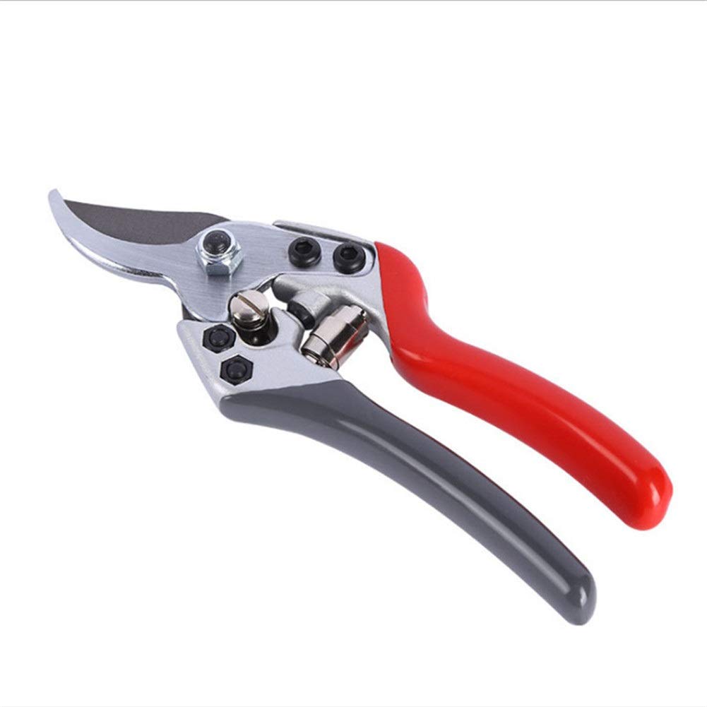 Premium Gardening Pruning Shears for Effortless Cutting - Heavy Duty Floral & Fruit Tree Branch Cutter - Perfect for Garden Trimming, Landscaping, and DIY Plant Care