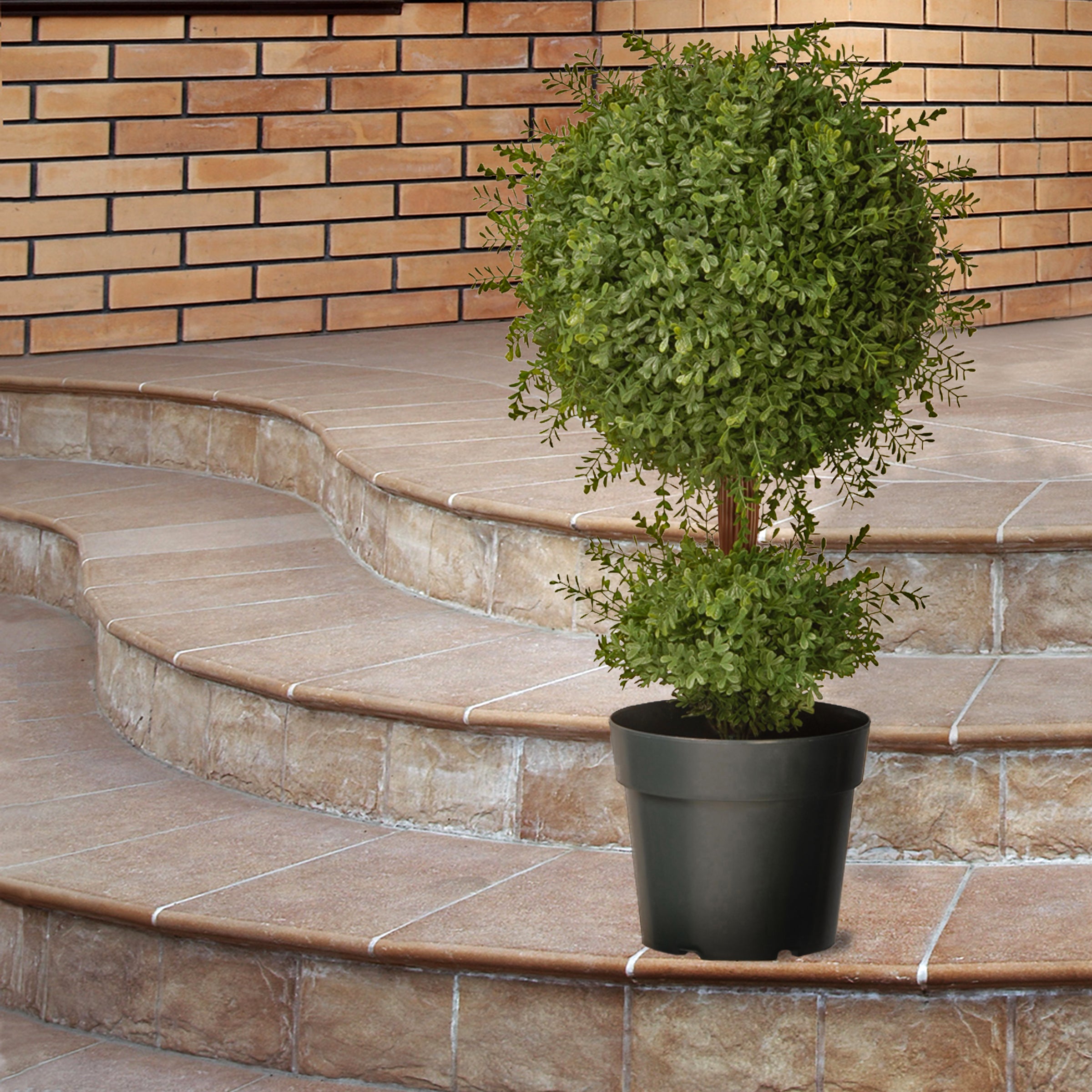 30 in. Mini Tea Leaf 1 Ball in Green Round Growers Pot - Perfect for Indoor Herb Gardens, Kitchen Decor & Small Space Greenery