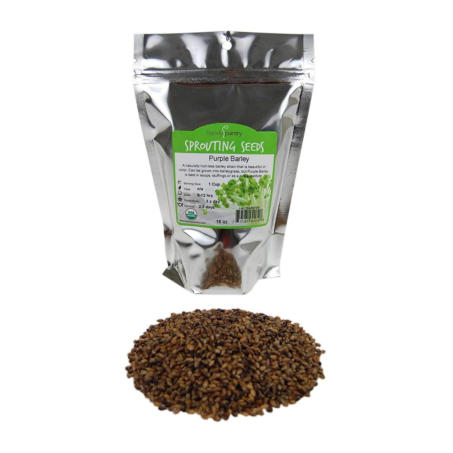 Organic Purple Barley Seeds - 1 Lb Resealable Bag | Hull-Free, Non-GMO | Perfect for Barleygrass, Flour Grinding, Food Storage, Soups & Stews | Ideal for Healthy Cooking, Baking & Emergency Preparedness