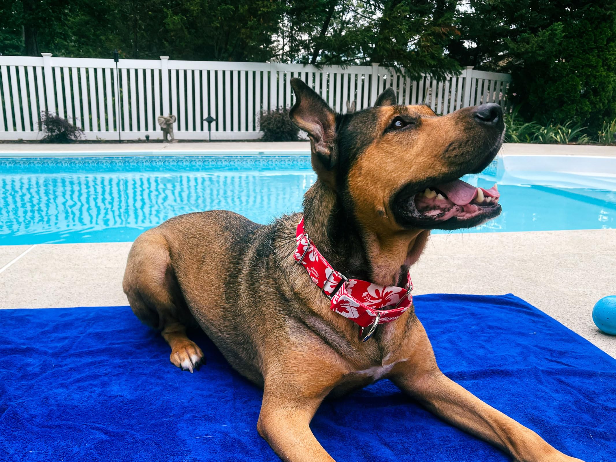 Country Brook Design - Vibrant Red Hawaiian Polyester Webbing for Crafts, DIY Projects & Outdoor Gear (Perfect for Lei Making, Bag Straps & Beach Accessories)