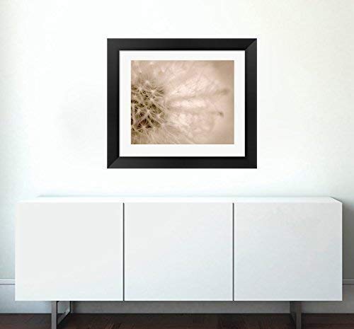 Dandelion Fine Art Photography Print - Neutral Modern Wall Art for Bedroom Decor - Beige Tan Brown Flower Macro Photography - Perfect for Living Room, Office & Nursery