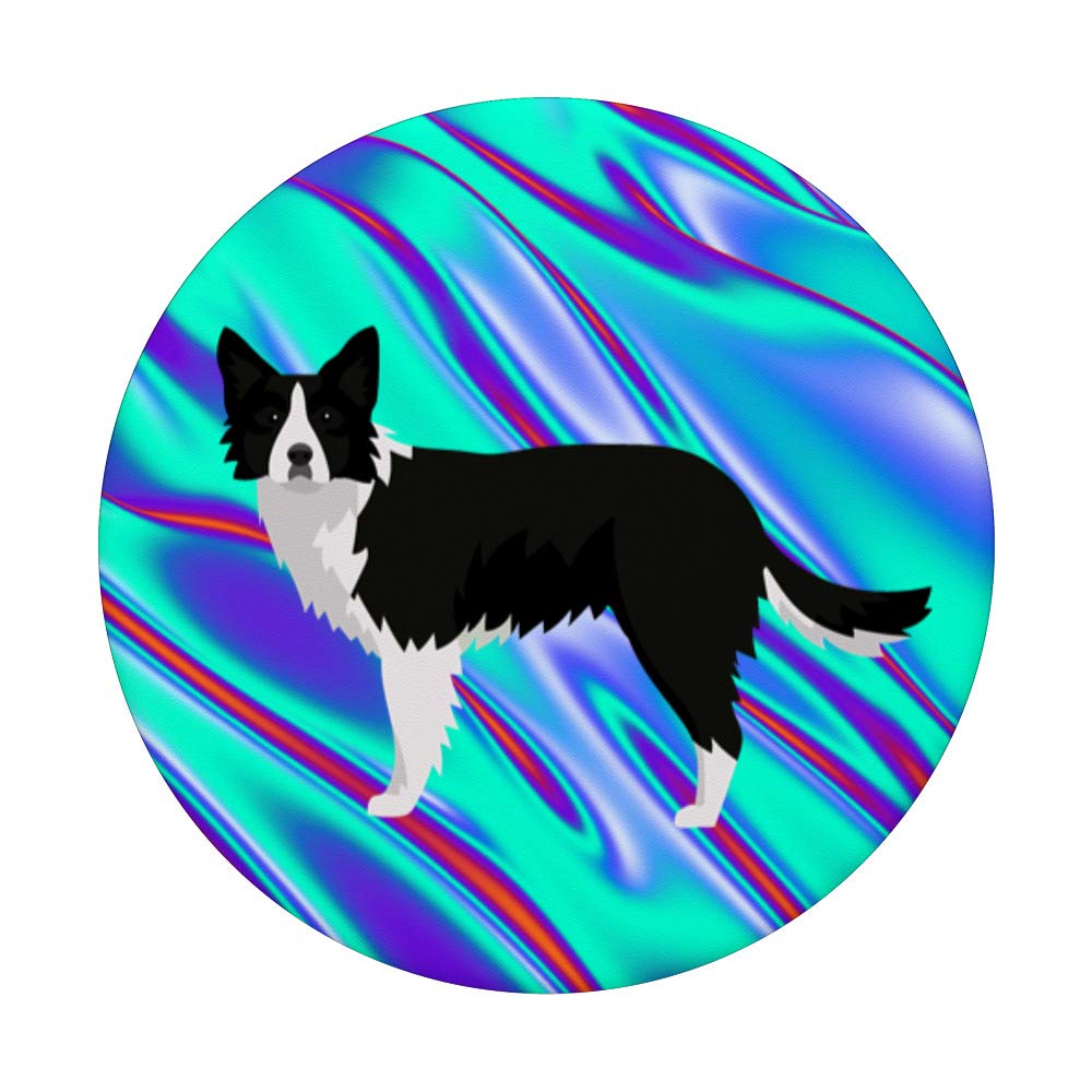 Border Collie Dog - Intelligent & Energetic Herding Breed for Active Families & Farm Work | Perfect for Agility Training & Outdoor Adventures