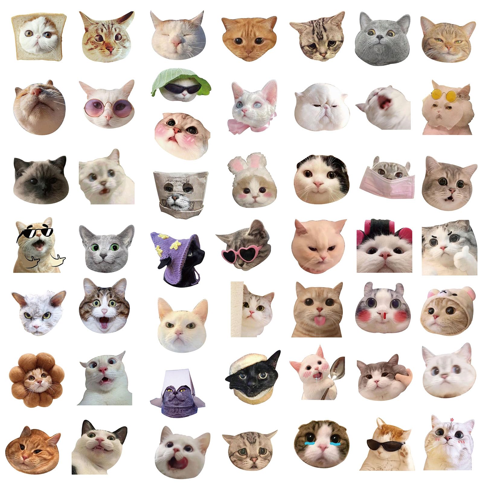 100 Pcs Funny Cat Stickers - Cute Cat Meme Vinyl Decals for Water Bottles, Laptops, Luggage, Skateboards & Bicycles | Waterproof Durable Stickers for Teens & Adults | Perfect for DIY Crafts, School Supplies & Gift Decorations