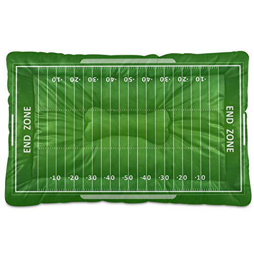 American Football Field