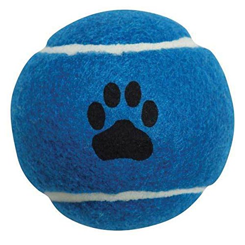 Durable 2.5 Inch Dog Tennis Balls - Colorful Chew Toys for Pets (10 Pack) | Great for Fetch, Training & Outdoor Play