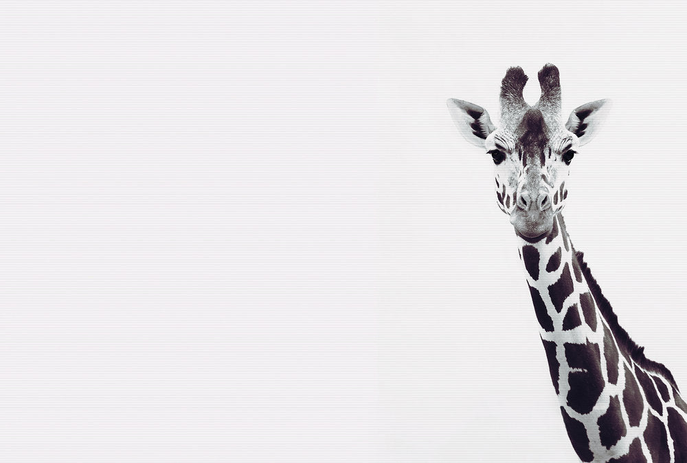 ARTist Giraffe Portrait Painting - Handmade Wall Art Decor for Living Room, Bedroom & Office