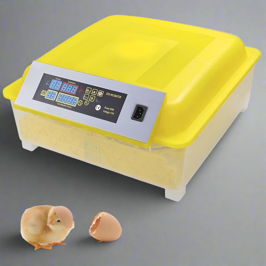 48 Egg Digital Incubator & Hatcher - Automatic Temperature Control & Egg Turner for Poultry, Chicken, Duck, Quail Eggs | Perfect for Home Farming, Hatching Projects & Educational Use | SKU: 48INC