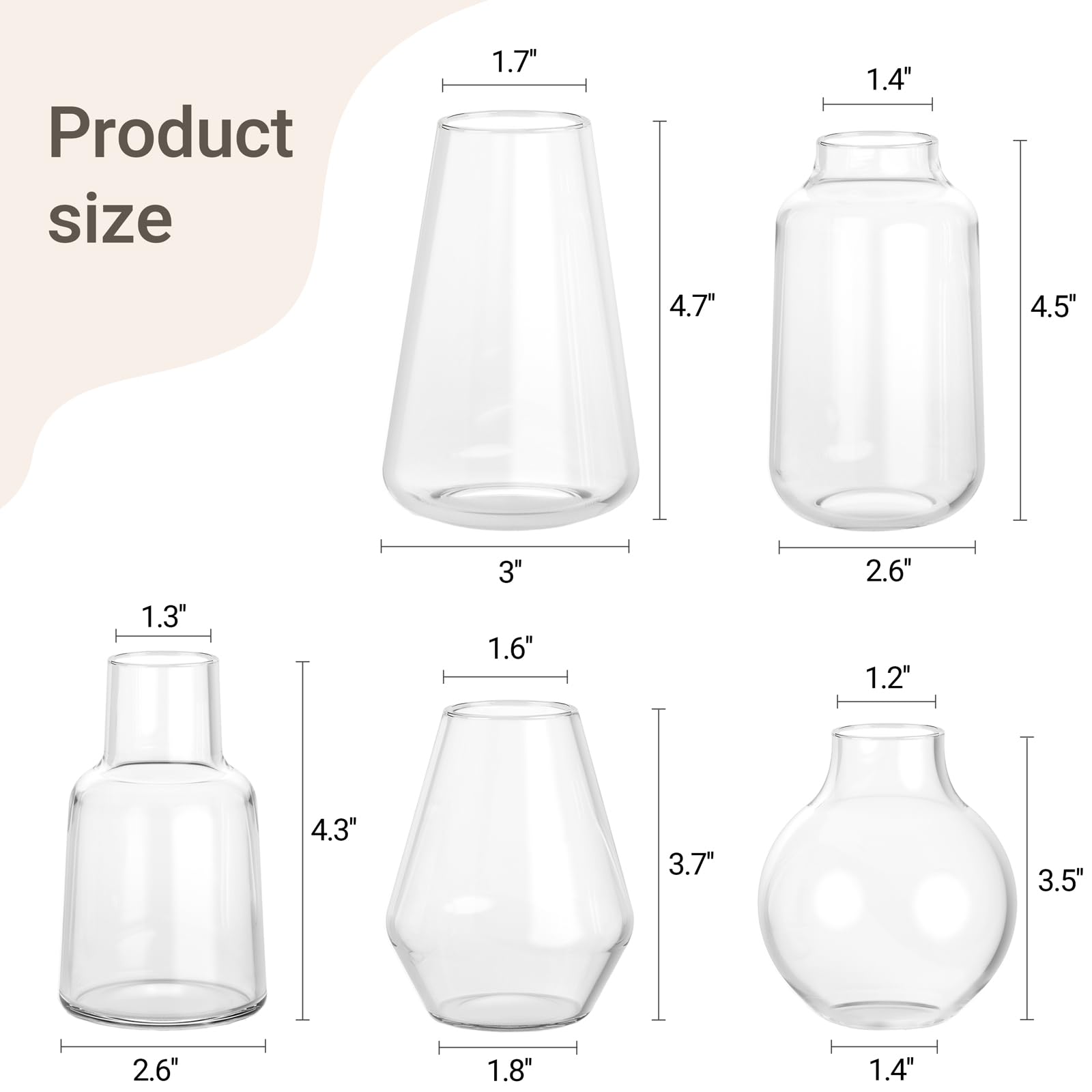 Mkono Glass Propagation Vases for Plants - Set of 5 Small Hydroponic Planters for Flower Cuttings, Bud Vases for Home Office Decor, Wedding Centerpieces & Gifts - Perfect for Indoor Gardening, Herb Propagation, and Tabletop Displays