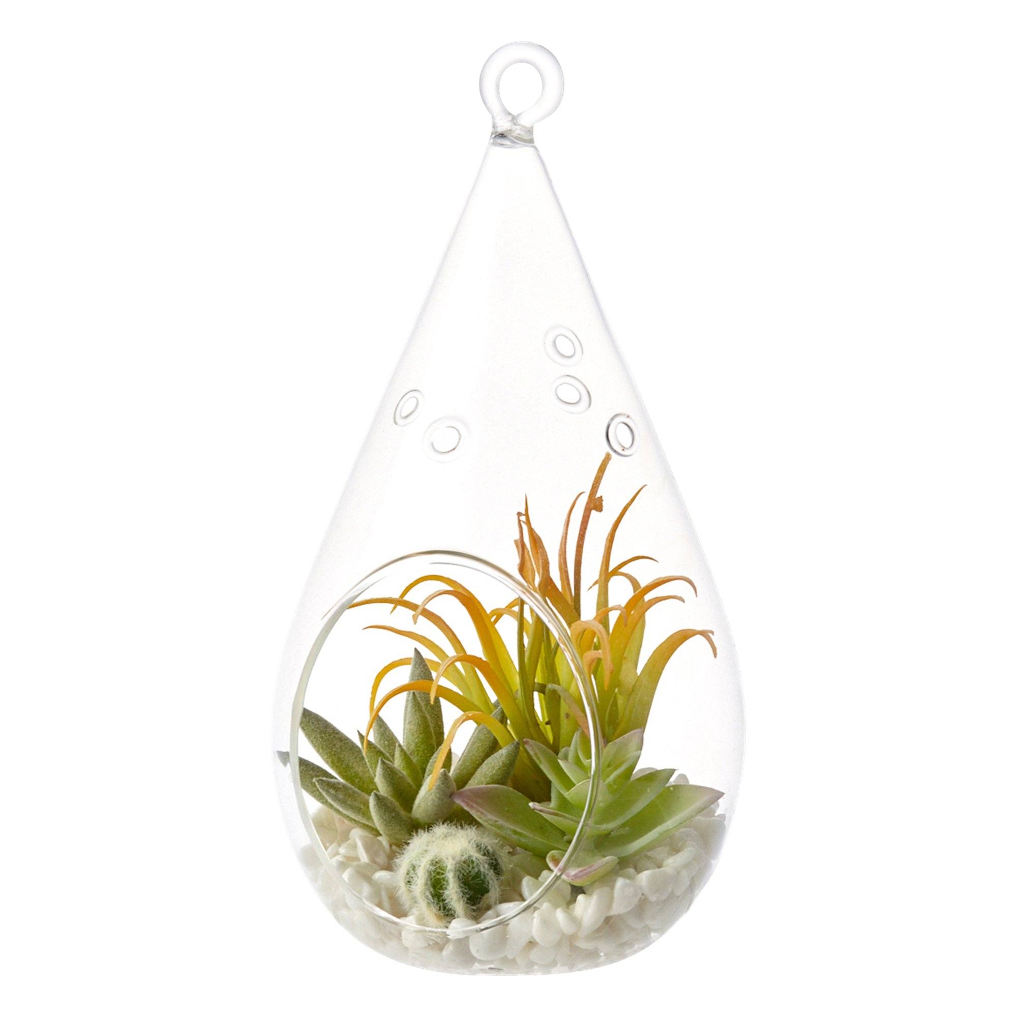Stylish Caro Succulents Pot Drop - Modern Ceramic Planters for Succulents & Small Plants - Perfect for Home, Office, and Garden Decor