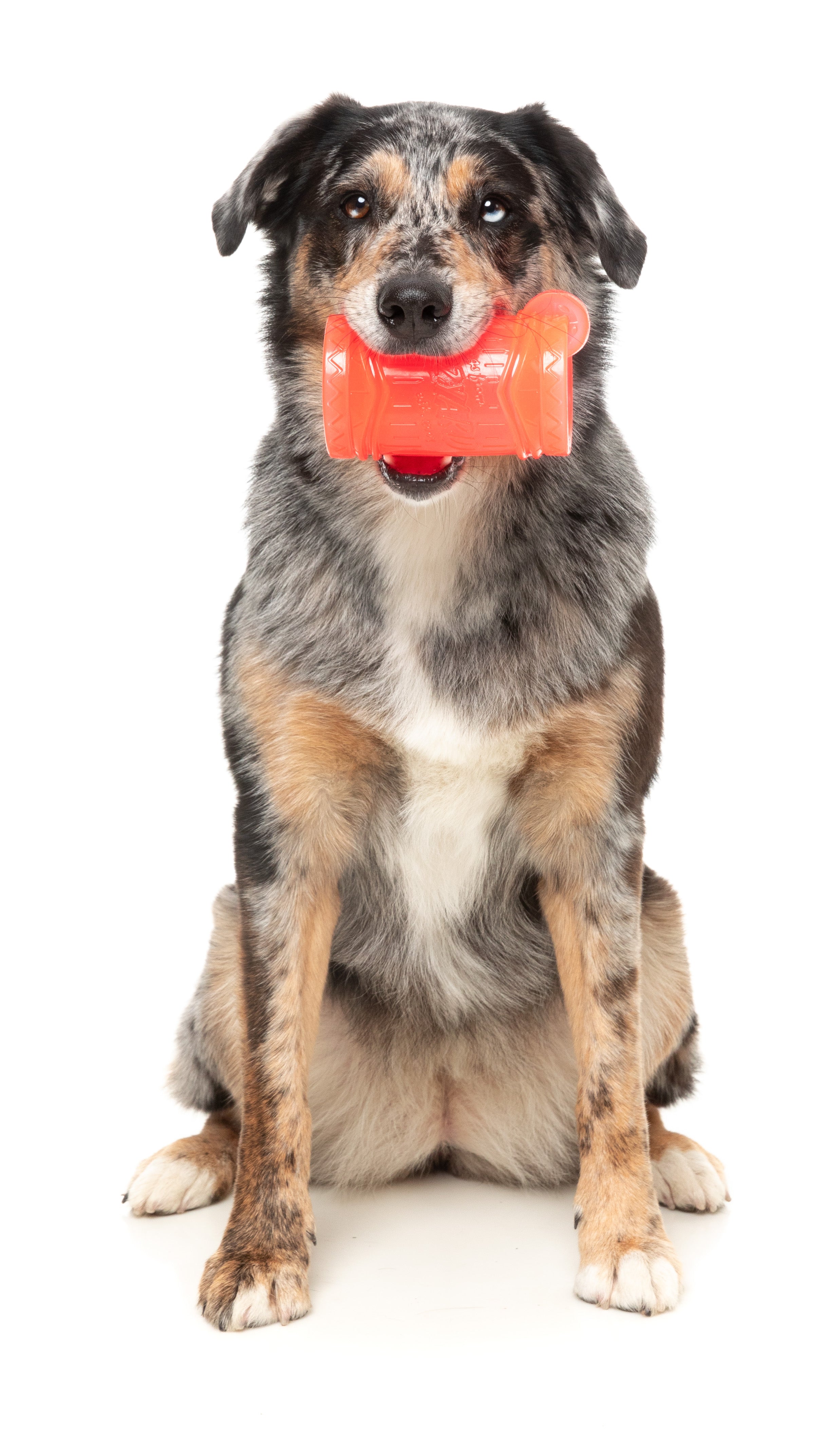 Fuzzyard Interactive Dog Chew Toy with Treat Dispenser - Pina Coolada Freeze Flavor | Durable Chewing Toy for Puppies & Adult Dogs | Perfect for Training, Boredom Relief & Dental Health
